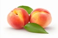 Fresh and vibrant peach fruit isolated on white background for high quality advertising
