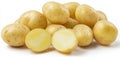The fresh and vibrant potatoes waiting to be cooked or enjoyed raw. AI generated image Royalty Free Stock Photo