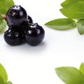 Fresh and vibrant ripe acai berry isolated on clean white background high quality image