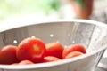Fresh, Vibrant Roma Tomatoes in Colander with Wate Royalty Free Stock Photo