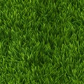 Fresh and vibrant seamless pattern of green grass viewed from the top, perfect for background design