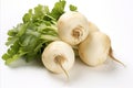 Fresh and vibrant turnips on a clean white background for advertisements and packaging designs