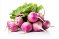 fresh, vibrant turnips on a clean white background for advertisements and packaging designs