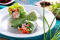 Fresh vietnamese spring roll
