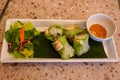 Fresh vietnamese spring rolls with peanut butter sauce for dipping. Royalty Free Stock Photo