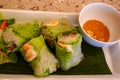 Fresh vietnamese spring rolls with peanut butter sauce for dipping. Royalty Free Stock Photo