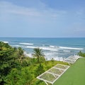 Fresh view and natural green looks on the beach Royalty Free Stock Photo