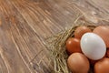 Fresh village chicken eggs on dark wooden background. Easter entourage.