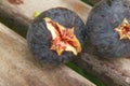 Fresh violet fig.