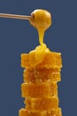 Fresh viscous flower honey falls down from a wooden spoon. vitamin organic food