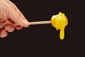 Fresh viscous flower honey falls down from a wooden spoon. vitamin organic food