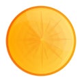 Fresh vitamin persimmon icon, cartoon style