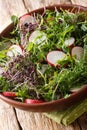 Fresh vitamin radish salad with microgreen mix close-up in a bowl. vertical Royalty Free Stock Photo