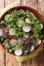 Fresh vitamin radish salad with microgreen mix close-up in a bowl. Vertical top view Royalty Free Stock Photo