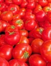Fresh, vivid red cherry tomatoes closeup Royalty Free Stock Photo