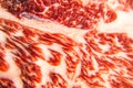 Fresh wagyu beef Royalty Free Stock Photo