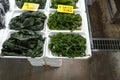 fresh wakame seaweed and pickled salt wakame seaweedt on display Royalty Free Stock Photo