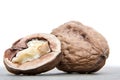 Fresh walnuts Royalty Free Stock Photo