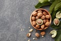 Fresh walnuts bowl Royalty Free Stock Photo