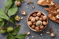 Fresh walnuts bowl Royalty Free Stock Photo