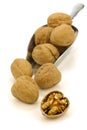 Fresh walnuts and a cracked one on a metal scoop Royalty Free Stock Photo