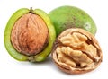 Fresh walnuts in green husk, opened walnut with kernel isolated on white background