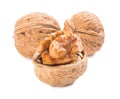 Isolated walnuts Royalty Free Stock Photo