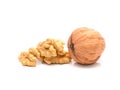 Fresh walnuts isolated on white Royalty Free Stock Photo
