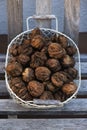 Fresh walnuts in a metal basket