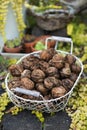 Fresh walnuts in a metal basket