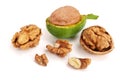 Fresh walnuts in peel isolated on white background Royalty Free Stock Photo