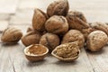 Fresh walnuts Royalty Free Stock Photo