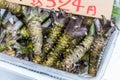 Fresh wasabi root in japanese market