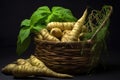 fresh wasabi roots in a basket, with dirt still clinging to them