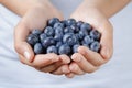 Fresh washed blueberries in female teen hands