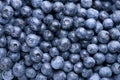 Fresh Washed Blueberry Background Royalty Free Stock Photo