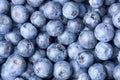 Fresh Washed Blueberry Background Royalty Free Stock Photo