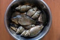 Fresh washed brilliant small lake fish roach lies in a metal plate on a wooden table