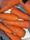 Fresh washed carrots