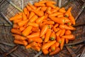 Fresh and washed organic harvested carrots in bamboo bucket. Food background.