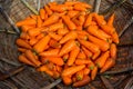 Fresh and washed organic harvested carrots in bamboo bucket. Food background.