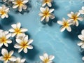 Fresh water background with frangipani flowers Royalty Free Stock Photo