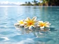 Fresh water background with frangipani flowers Royalty Free Stock Photo
