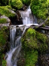 Fresh water cascade Royalty Free Stock Photo