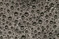 Fresh water drops on a gray bitumen surface close-up. Abstract background.