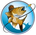 Fresh-water-fishing Royalty Free Stock Photo