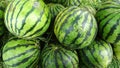 Fresh water melon Royalty Free Stock Photo