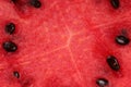 Fresh water melon background Royalty Free Stock Photo