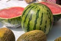 Fresh water melon and melons Royalty Free Stock Photo