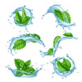 Fresh water mint. Liquid splashes with green menthol leaf for drink vector realistic collection